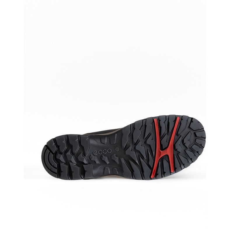 ecco xpedition iii m