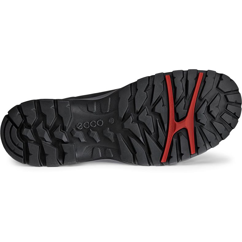 ecco xpedition iii m