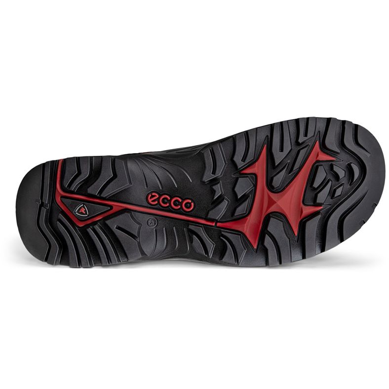 ecco offroad m