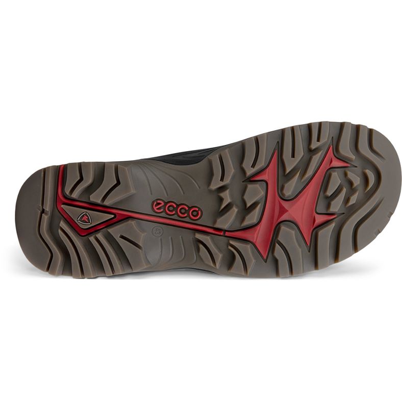 ecco offroad m