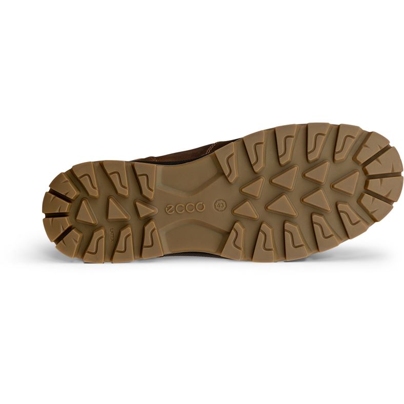 ecco rugged track