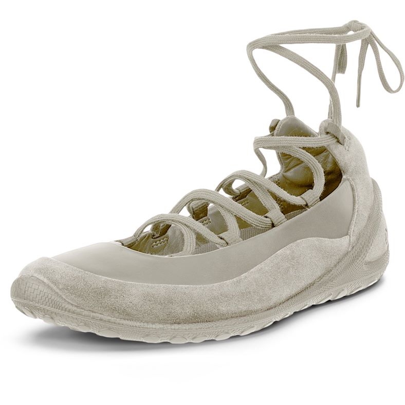 ecco biom lite w
