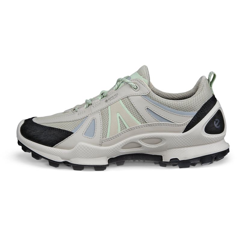 ecco biom c-trail w