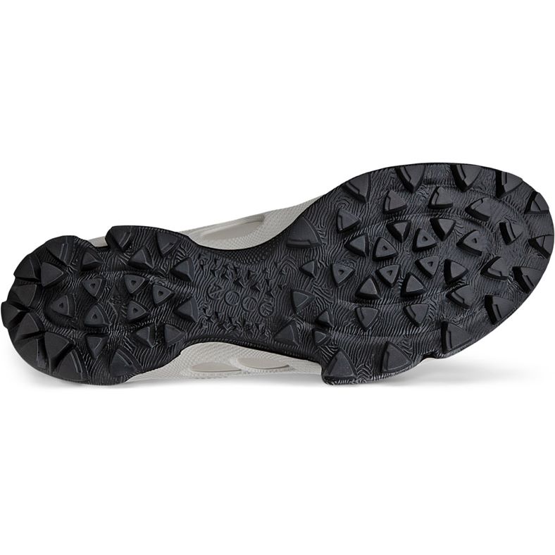 ecco biom c-trail w