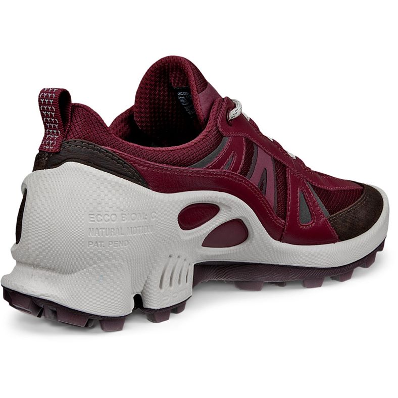 ecco biom c-trail w