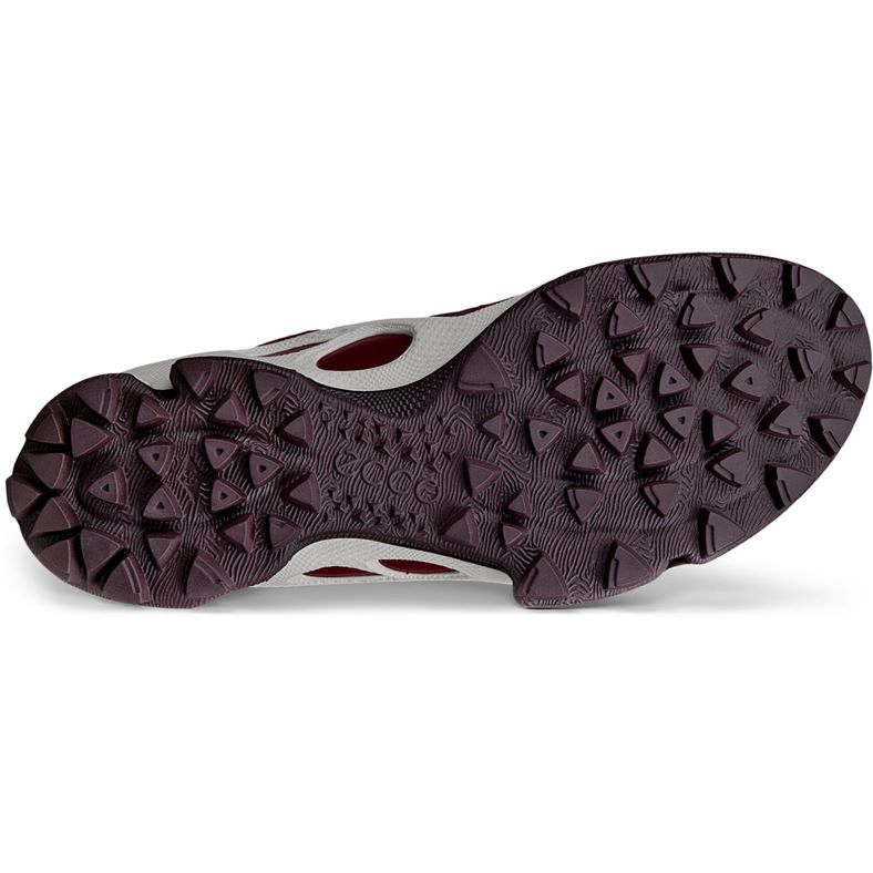 ecco biom c-trail w