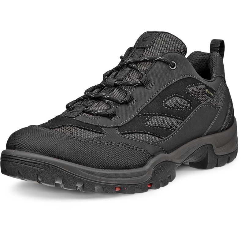 ecco xpedition iii w