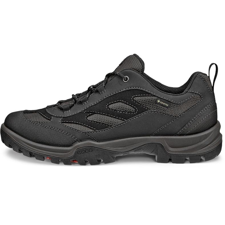 ecco xpedition iii w