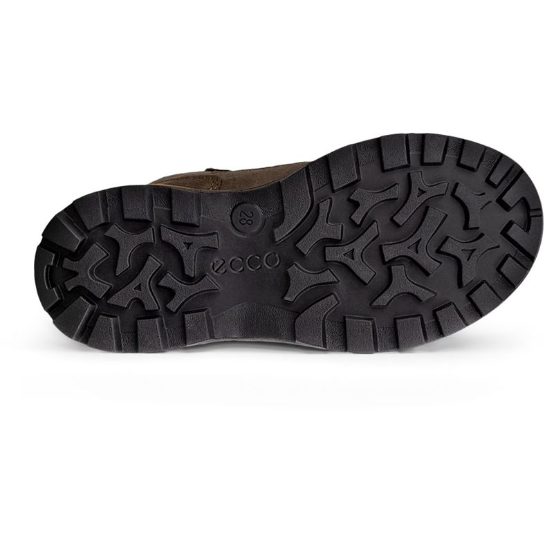 ecco snow mountain