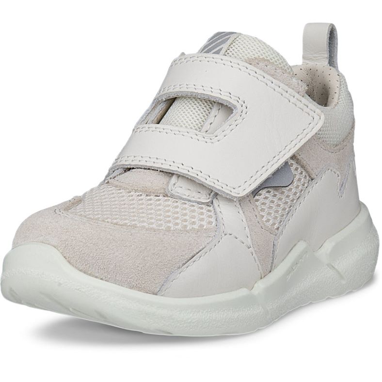 ecco biom 2.2 infant