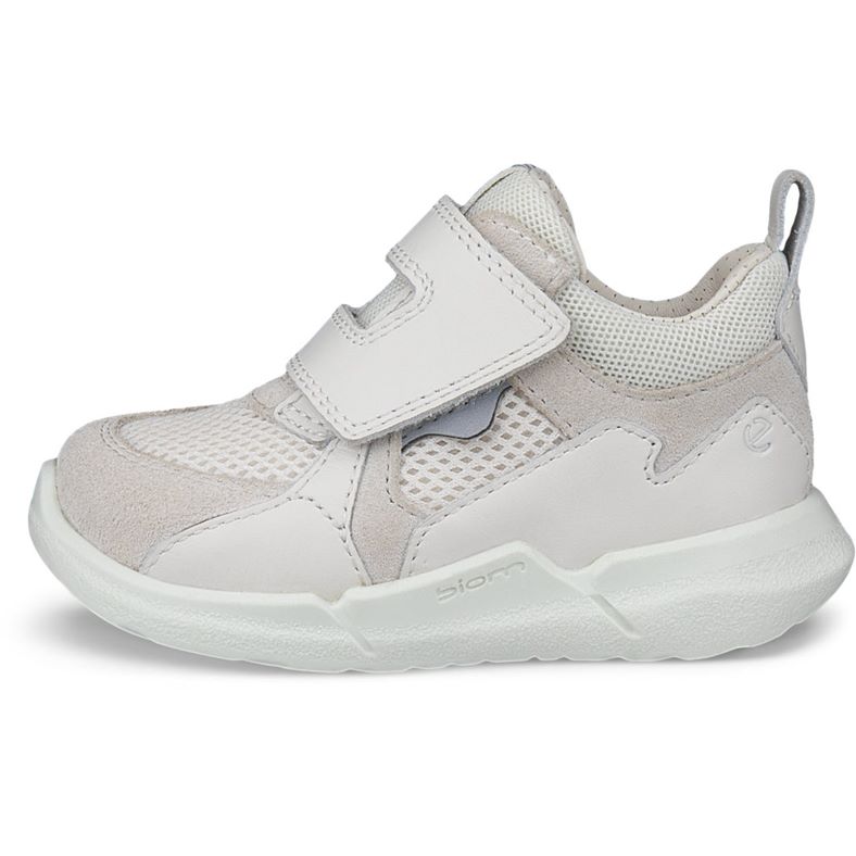ecco biom 2.2 infant