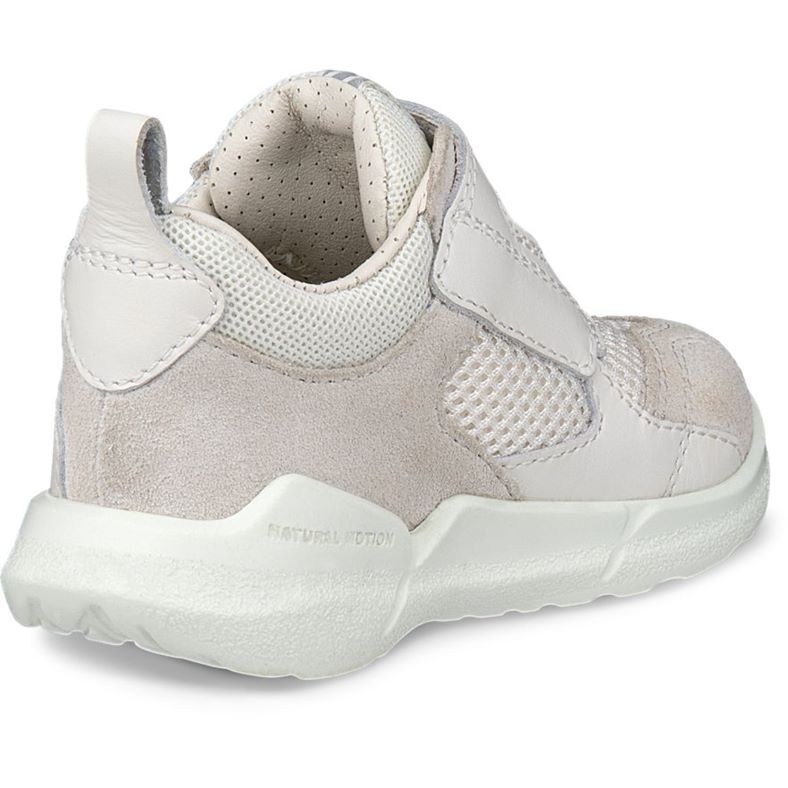 ecco biom 2.2 infant