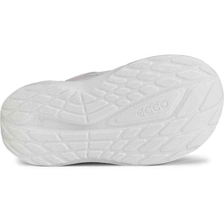 ecco biom 2.2 infant