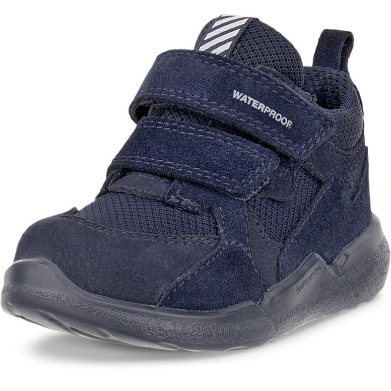 ecco biom 2.2 infant