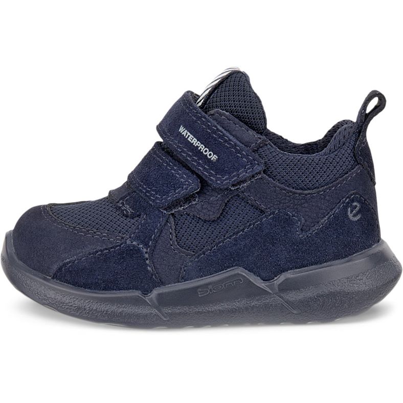 ecco biom 2.2 infant