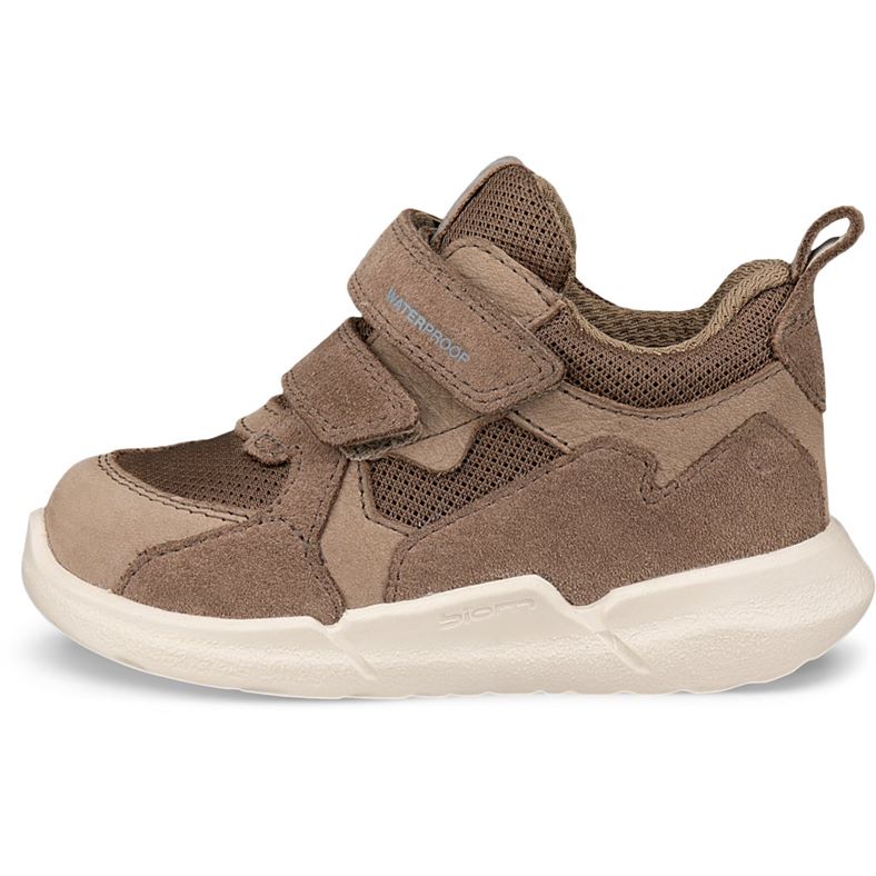 ecco biom 2.2 infant
