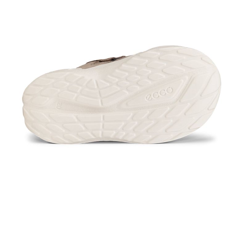 ecco biom 2.2 infant