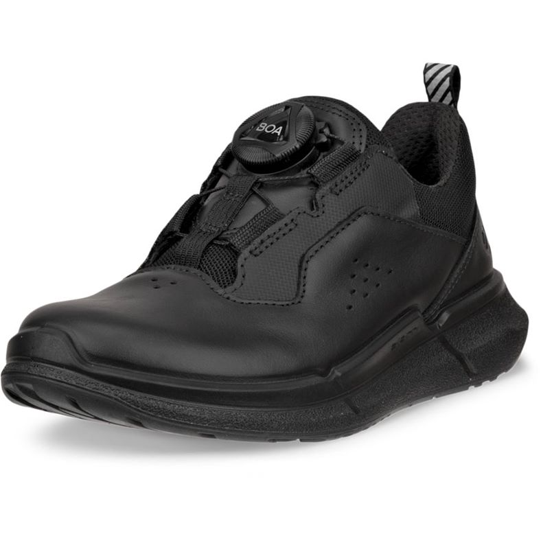 ecco biom 2.2 k