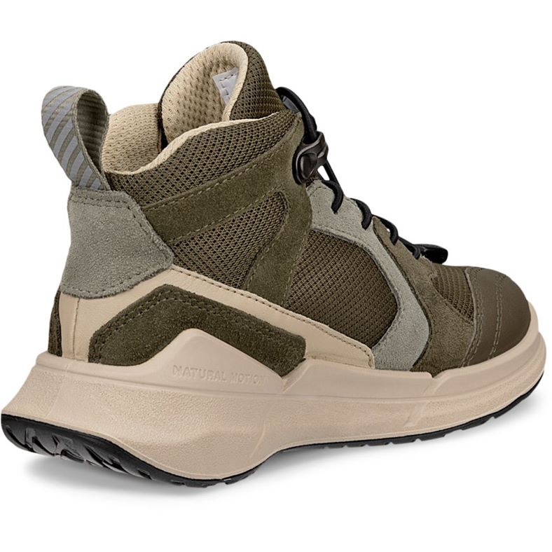 ecco biom 2.2 k