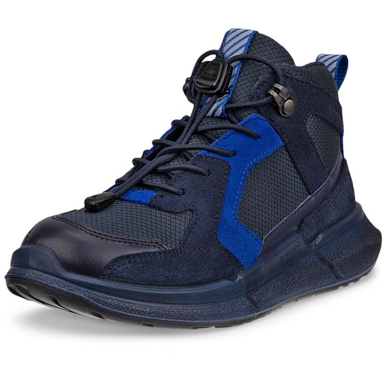 ecco biom 2.2 k