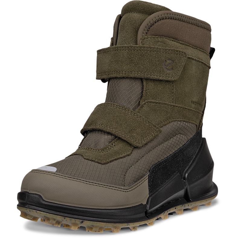 ecco biom k2