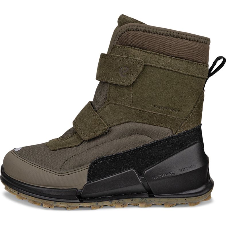 ecco biom k2
