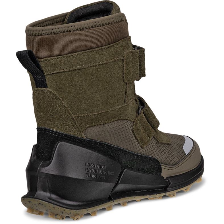 ecco biom k2