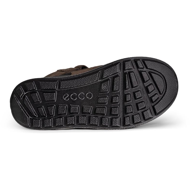 ecco urban snowboardÅkare