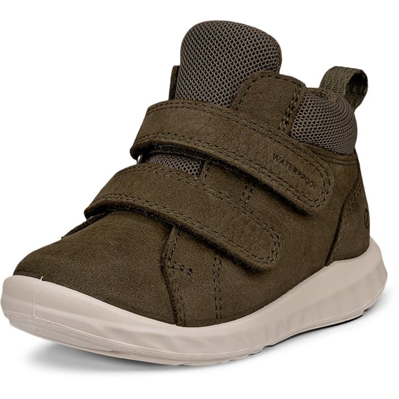ecco sp.1 lite barn