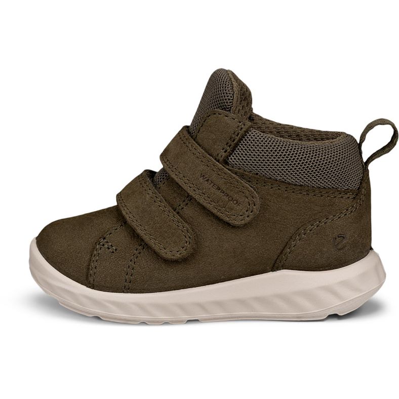 ecco sp.1 lite barn