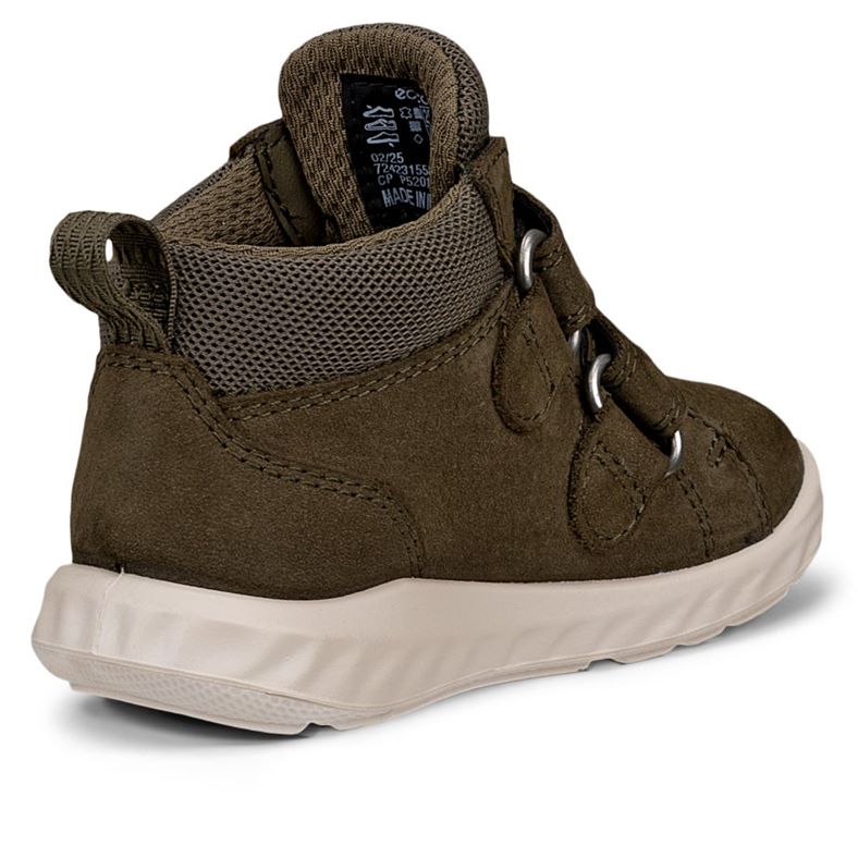 ecco sp.1 lite barn