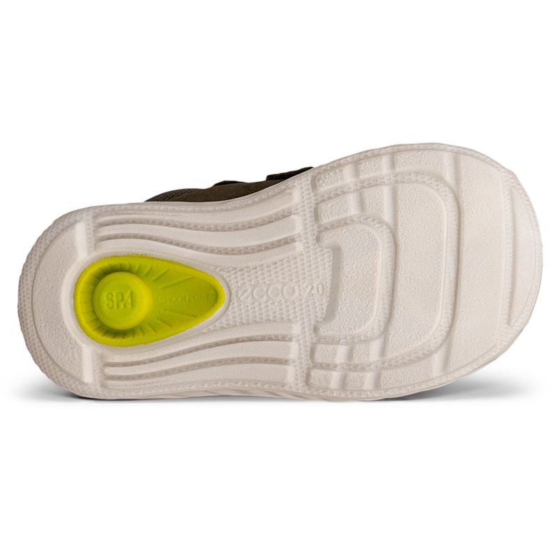 ecco sp.1 lite barn
