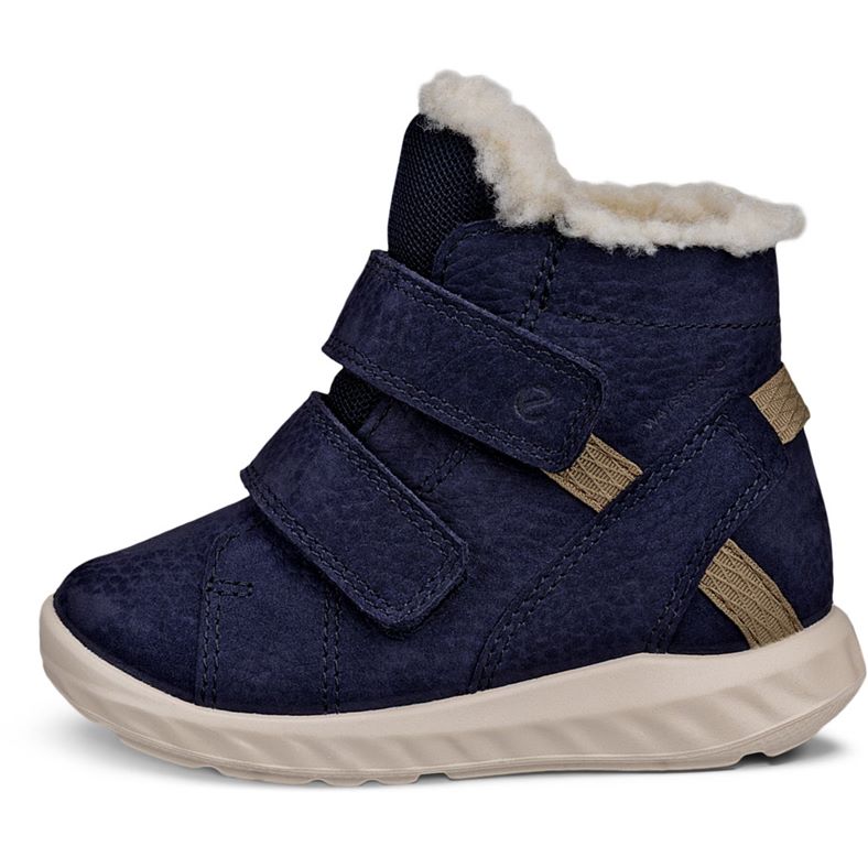 ecco sp.1 lite barn