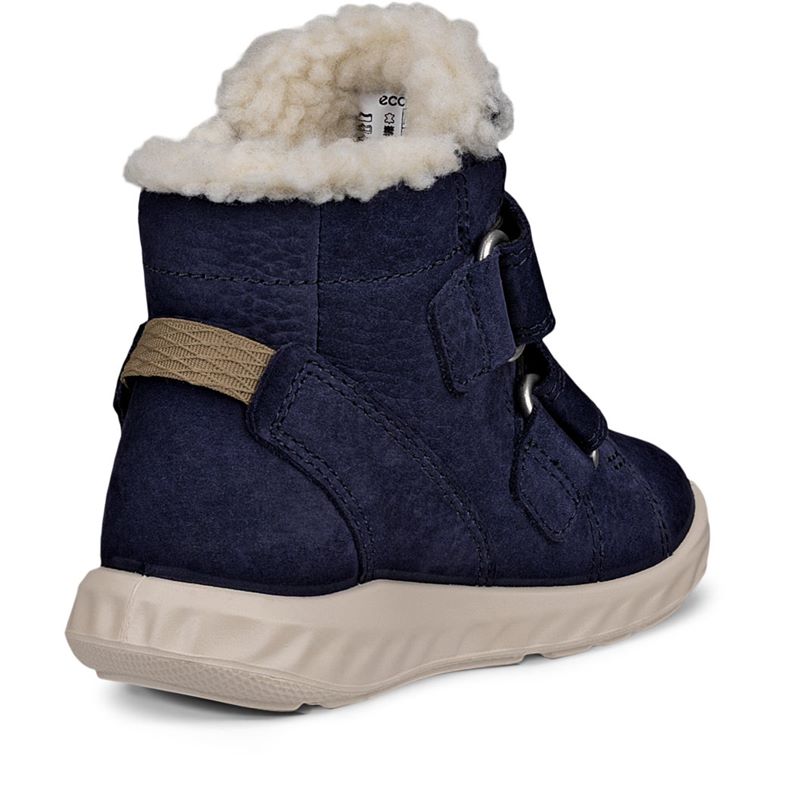 ecco sp.1 lite barn